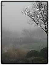 As medi��es fotogr�ficas podem ficar distorcidas em cenas com neblina