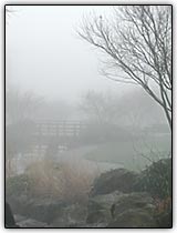 Alterne a posi��o da lente quando tirar fotos de cenas enevoadas