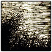 Em cen�rios com v�rios padr�es, mude a posi��o