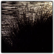 Cen�rios com v�rios padr�es trazem problemas para o foco autom�tico