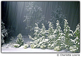 Exposi��o temporizada e abertura pequena capturam o movimento da neve caindo