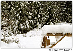 Varie a profundidade de campo para criar um contexto para o objeto