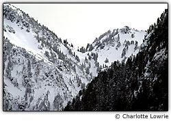 Use o modo manual em cen�rios dif�ceis de fotografar