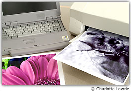 Escolha papel e tintas de impress�o que ofere�am uma classifica��o longa de arquivamento