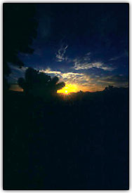 Foto com medi��o de propor��o m�dia central