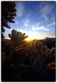 Imagem com medi��o matriz