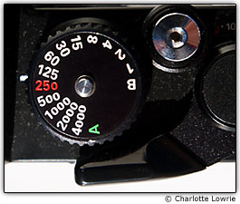 Mostrador de velocidade do obturador