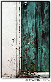 Port�o verde e ervas silvestres