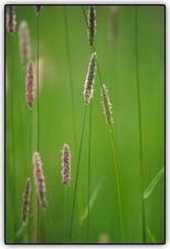 Tonalidades m�dias e sombras uniformes resultam em leituras precisas de medi��o