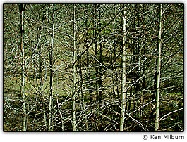 Linhas repetidas acrescentam interesse �s fotografias