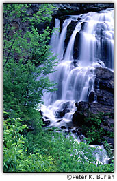 Queda d'�gua e folhagem