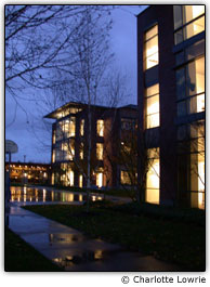 Foto noturna com trepida��o